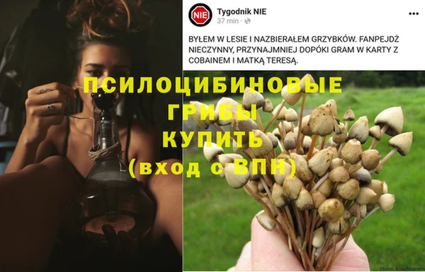 дистиллят марихуана Коряжма