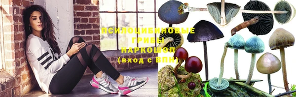 герыч Костерёво